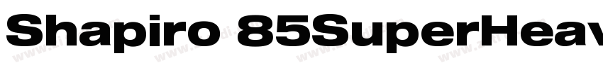 Shapiro 85SuperHeavy字体转换 Shapiro 85SuperHeavy字体转换